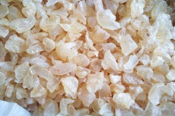 雪燕和燕窩哪個(gè)營(yíng)養(yǎng)價(jià)值高 雪燕和功效和作用 雪燕和燕窩哪個(gè)營(yíng)養(yǎng)價(jià)值高 雪燕和功效和作用