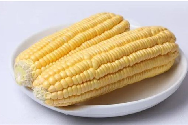 甜玉米是碳水嗎 甜玉米屬于粗糧嗎 甜玉米是碳水嗎 甜玉米屬于粗糧嗎