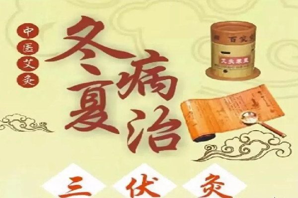 三伏灸要做幾次 三伏灸可以天天灸嗎 三伏灸要做幾次 三伏灸可以天天灸嗎