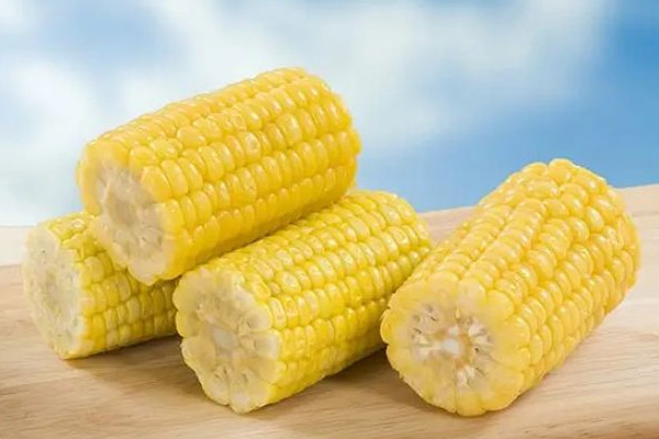 甜玉米要放冰箱保存嗎 甜玉米放冰箱可以放多久 甜玉米要放冰箱保存嗎 甜玉米放冰箱可以放多久