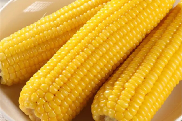 糯玉米是不是不好消化 糯玉米對胃好嗎 糯玉米是不是不好消化 糯玉米對胃好嗎