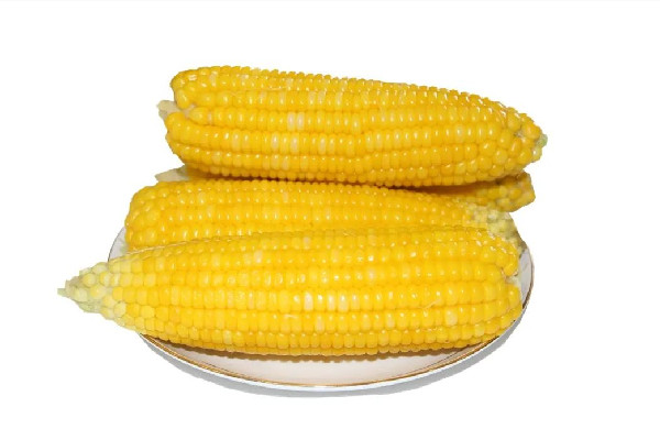甜玉米會(huì)導(dǎo)致血糖升高嗎 甜玉米糖尿病人可以吃嗎 甜玉米會(huì)導(dǎo)致血糖升高嗎 甜玉米糖尿病人可以吃嗎