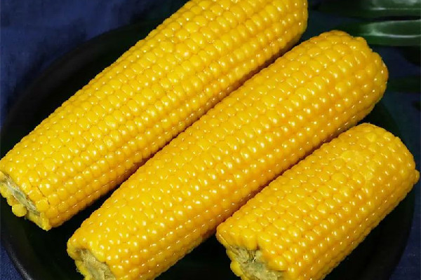 糯玉米是不是不好消化 糯玉米對胃好嗎 糯玉米是不是不好消化 糯玉米對胃好嗎