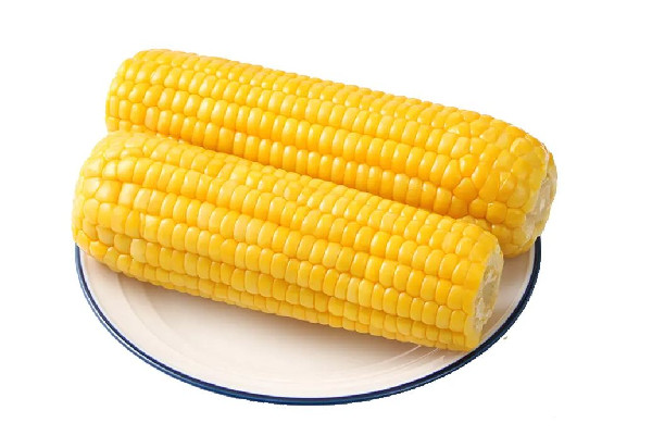 糯玉米要煮多久才熟透 糯玉米要蒸還是煮 糯玉米要煮多久才熟透 糯玉米要蒸還是煮