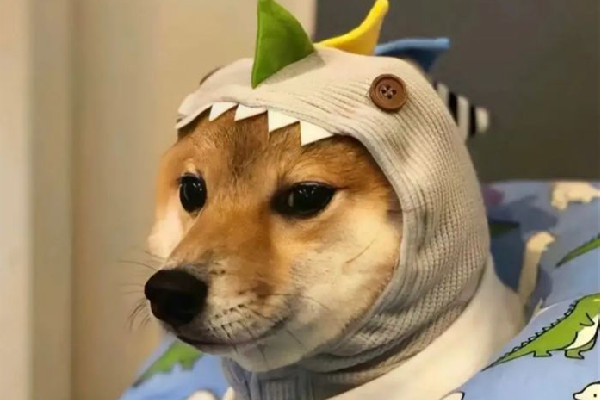 修勾是什么意思 修勾是罵人的意思嗎 修勾是什么意思 修勾是罵人的意思嗎