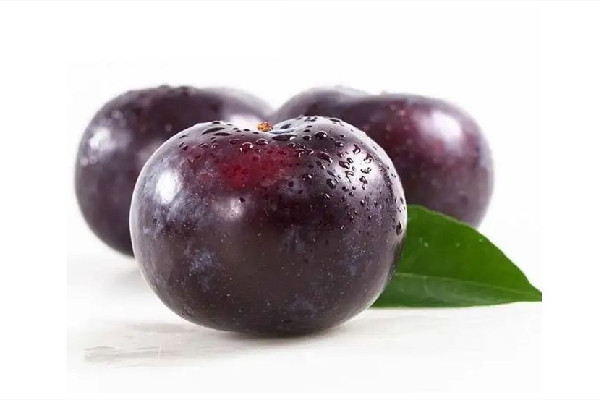 黑布林酸的要放多長(zhǎng)時(shí)間可以變甜 黑布林可以放甜嗎 黑布林酸的要放多長(zhǎng)時(shí)間可以變甜 黑布林可以放甜嗎