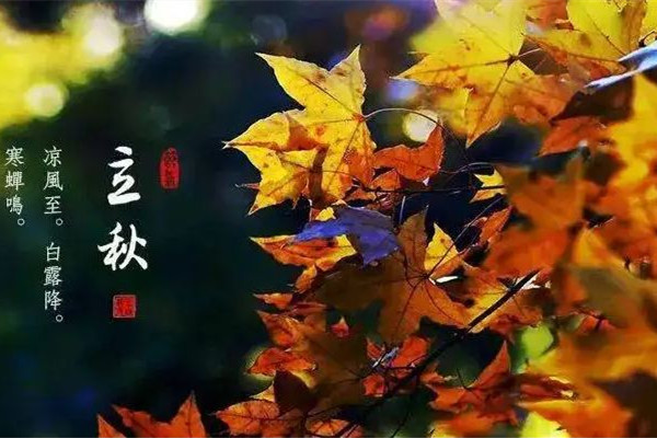 立秋是不是就不熱了 立秋會降溫嗎 立秋是不是就不熱了 立秋會降溫嗎