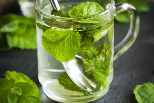 薄荷茶可以降低雄性激素嗎 薄荷茶對男性性功能影響 薄荷茶可以降低雄性激素嗎 薄荷茶對男性性功能影響