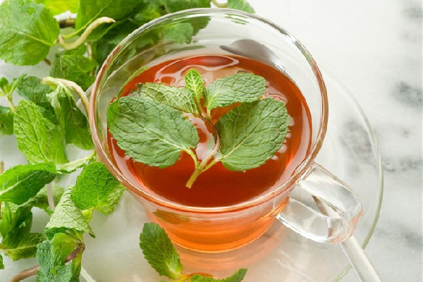 薄荷茶和咖啡哪個(gè)提神 薄荷茶有茶多酚嗎 薄荷茶和咖啡哪個(gè)提神 薄荷茶有茶多酚嗎