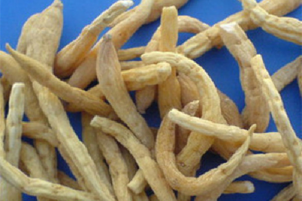 太子參煲湯一次放幾根 太子參煲湯什么時候放