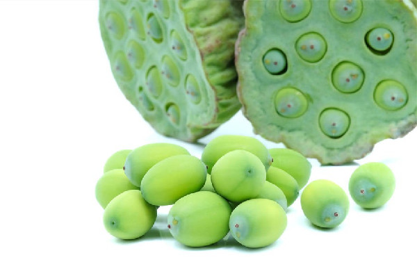 新鮮蓮子減肥期間可以吃嗎 新鮮蓮子適合怎么吃 新鮮蓮子減肥期間可以吃嗎 新鮮蓮子適合怎么吃