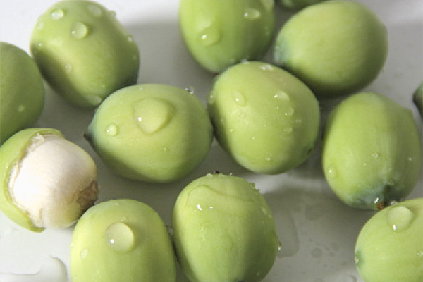 新鮮蓮子減肥期間可以吃嗎 新鮮蓮子適合怎么吃 新鮮蓮子減肥期間可以吃嗎 新鮮蓮子適合怎么吃