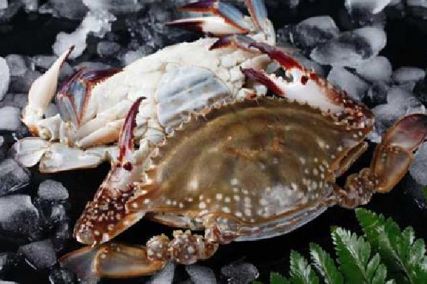 梭子蟹選大的還是小的 梭子蟹選多大的好 梭子蟹選大的還是小的 梭子蟹選多大的好