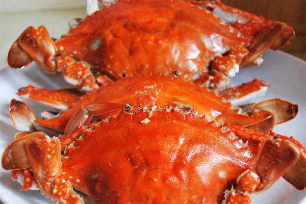 梭子蟹怎么挑選蟹黃多的 梭子蟹買回來之后怎么保存 梭子蟹怎么挑選蟹黃多的 梭子蟹買回來之后怎么保存