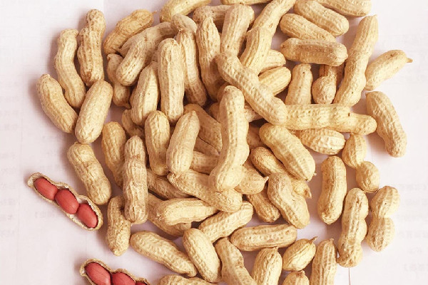 花生會促進(jìn)癌細(xì)胞轉(zhuǎn)移嗎 花生對腎結(jié)石有影響嗎 花生會促進(jìn)癌細(xì)胞轉(zhuǎn)移嗎 花生對腎結(jié)石有影響嗎