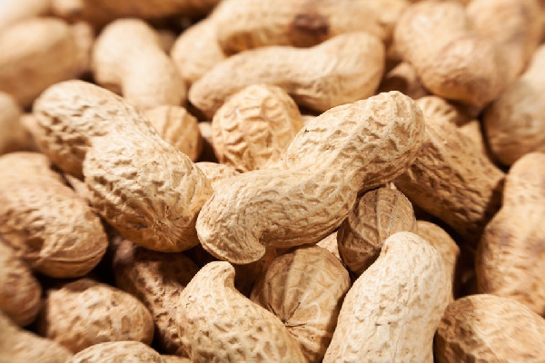 花生會促進(jìn)癌細(xì)胞轉(zhuǎn)移嗎 花生對腎結(jié)石有影響嗎 花生會促進(jìn)癌細(xì)胞轉(zhuǎn)移嗎 花生對腎結(jié)石有影響嗎
