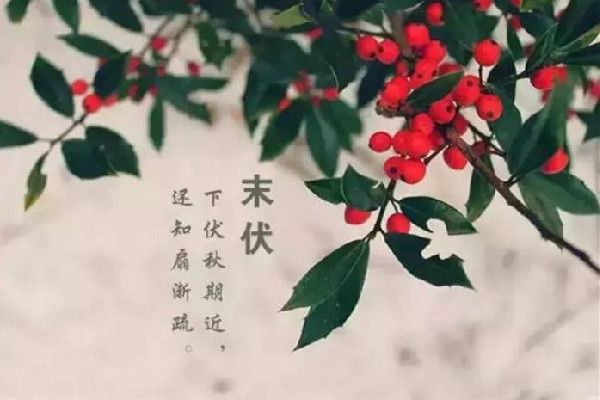末伏會(huì)比中伏熱嗎 末伏會(huì)不會(huì)涼快點(diǎn) 末伏會(huì)比中伏熱嗎 末伏會(huì)不會(huì)涼快點(diǎn)