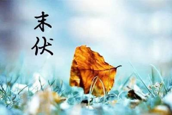 末伏會(huì)比中伏熱嗎 末伏會(huì)不會(huì)涼快點(diǎn) 末伏會(huì)比中伏熱嗎 末伏會(huì)不會(huì)涼快點(diǎn)