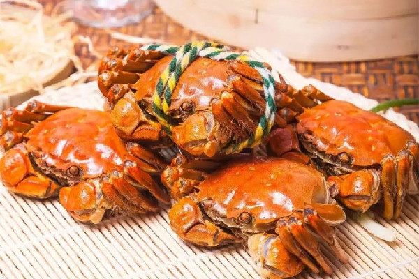 大閘蟹怎么挑選有蟹黃的 大閘蟹買多大的比較好 大閘蟹怎么挑選有蟹黃的 大閘蟹買多大的比較好