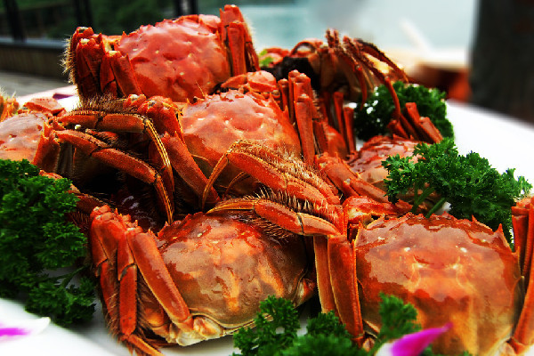 大閘蟹蒸多久最佳時間 大閘蟹蒸好后第二天可以吃嗎 大閘蟹蒸多久最佳時間 大閘蟹蒸好后第二天可以吃嗎