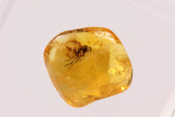 琥珀多少錢一克2022年 琥珀有收藏價(jià)值嗎