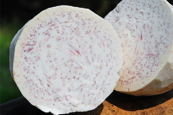 荔浦芋頭不能和什么一起吃 荔浦芋頭可以煮粥嗎 荔浦芋頭不能和什么一起吃 荔浦芋頭可以煮粥嗎