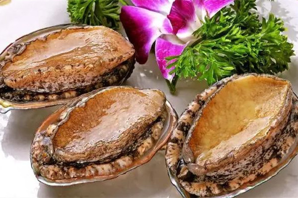 鮑魚可以生吃不 鮑魚生吃怎么處理方法 鮑魚可以生吃不 鮑魚生吃怎么處理方法