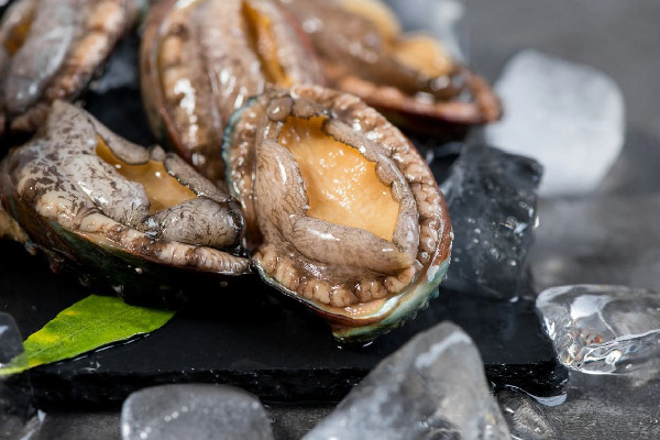 鮑魚可以生吃不 鮑魚生吃怎么處理方法 鮑魚可以生吃不 鮑魚生吃怎么處理方法