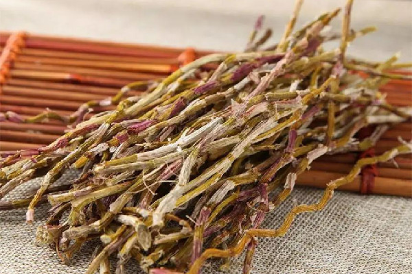 石斛的價格是多少錢一斤 石斛哪里的產(chǎn)地最好 石斛的價格是多少錢一斤 石斛哪里的產(chǎn)地最好