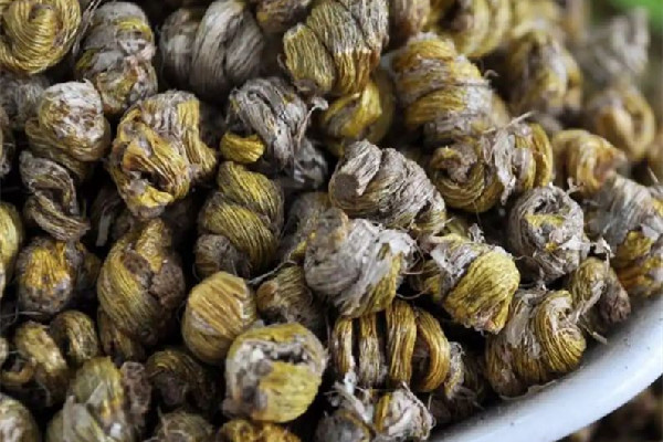 石斛的價格是多少錢一斤 石斛哪里的產(chǎn)地最好 石斛的價格是多少錢一斤 石斛哪里的產(chǎn)地最好