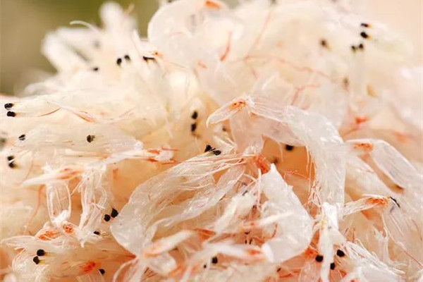 蝦皮多少錢一斤市場價(jià) 蝦皮買生的還是熟的 蝦皮多少錢一斤市場價(jià) 蝦皮買生的還是熟的