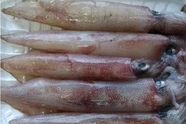 新鮮魷魚有黑點(diǎn)是不是壞了 新鮮魷魚有點(diǎn)酸能吃嗎 新鮮魷魚有黑點(diǎn)是不是壞了 新鮮魷魚有點(diǎn)酸能吃嗎