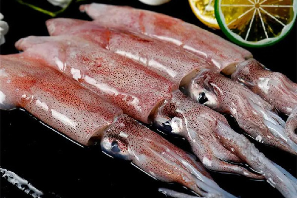 新鮮魷魚多少錢一斤市場 新鮮魷魚是什么樣子 新鮮魷魚多少錢一斤市場 新鮮魷魚是什么樣子