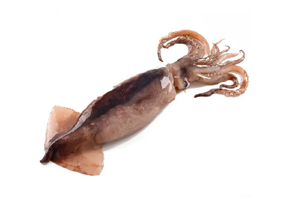 新鮮魷魚有黑點(diǎn)是不是壞了 新鮮魷魚有點(diǎn)酸能吃嗎 新鮮魷魚有黑點(diǎn)是不是壞了 新鮮魷魚有點(diǎn)酸能吃嗎