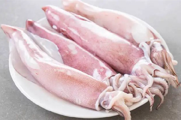 新鮮魷魚多少錢一斤市場 新鮮魷魚是什么樣子 新鮮魷魚多少錢一斤市場 新鮮魷魚是什么樣子