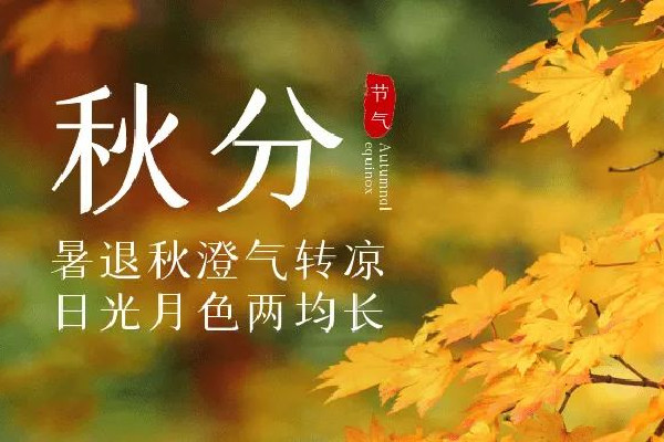 秋分是2022年的幾月幾日 秋分是進(jìn)入秋天的意思嗎 秋分是2022年的幾月幾日 秋分是進(jìn)入秋天的意思嗎