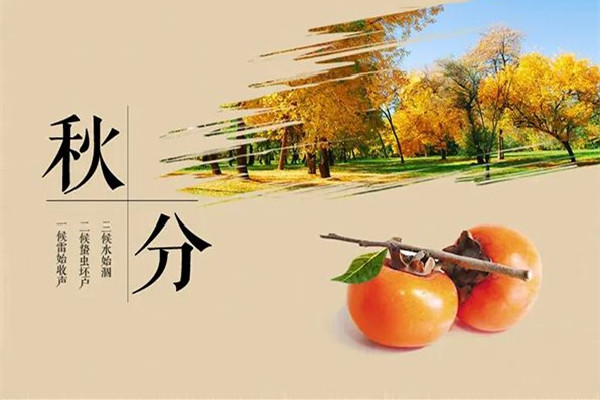 秋分是2022年的幾月幾日 秋分是進(jìn)入秋天的意思嗎 秋分是2022年的幾月幾日 秋分是進(jìn)入秋天的意思嗎