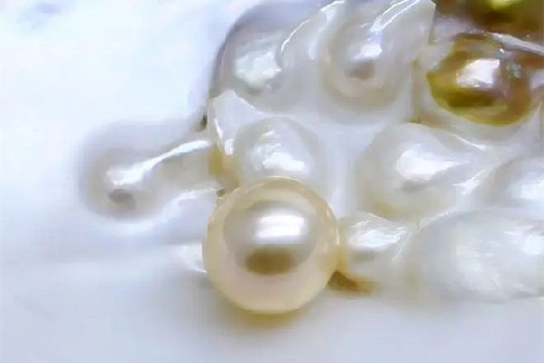 淡水珍珠和珍珠貝母哪個好 淡水珍珠什么顏色最珍貴 淡水珍珠和珍珠貝母哪個好 淡水珍珠什么顏色最珍貴