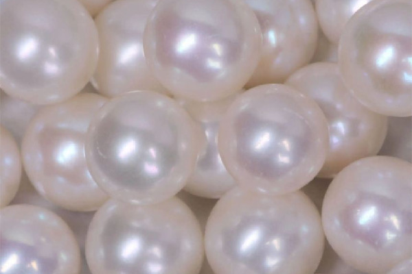 珍珠有收藏價(jià)值嗎 珍珠多大尺寸才有收藏價(jià)值 珍珠有收藏價(jià)值嗎 珍珠多大尺寸才有收藏價(jià)值