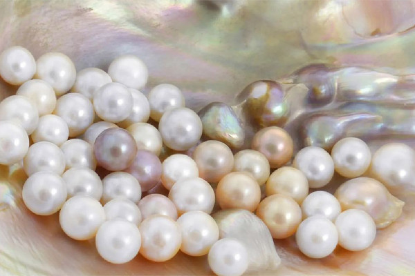 珍珠有收藏價(jià)值嗎 珍珠多大尺寸才有收藏價(jià)值 珍珠有收藏價(jià)值嗎 珍珠多大尺寸才有收藏價(jià)值