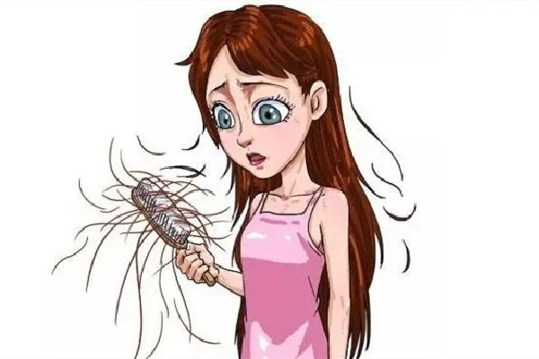 掉發(fā)有白色顆粒是什么 掉發(fā)有白色毛囊還會(huì)在長嗎 掉發(fā)有白色顆粒是什么 掉發(fā)有白色毛囊還會(huì)在長嗎