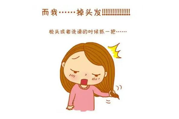 掉發(fā)會連著毛囊一起掉嗎 掉發(fā)會長出新頭發(fā)嗎 掉發(fā)會連著毛囊一起掉嗎 掉發(fā)會長出新頭發(fā)嗎