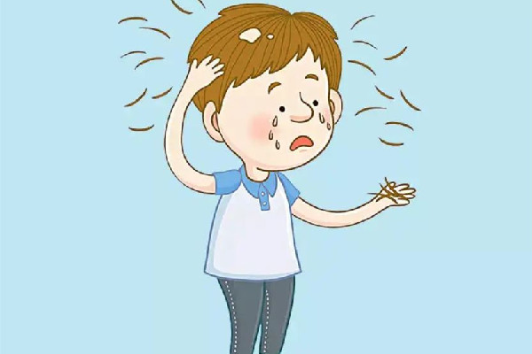 掉發(fā)可以用中藥調(diào)理嗎 掉發(fā)喝中藥要多久見效 掉發(fā)可以用中藥調(diào)理嗎 掉發(fā)喝中藥要多久見效