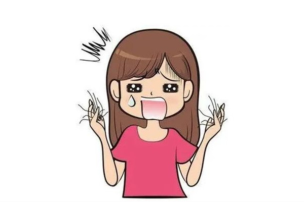 掉發(fā)可以用中藥調(diào)理嗎 掉發(fā)喝中藥要多久見效 掉發(fā)可以用中藥調(diào)理嗎 掉發(fā)喝中藥要多久見效