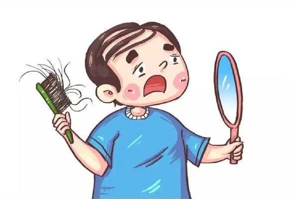 掉發(fā)會連著毛囊一起掉嗎 掉發(fā)會長出新頭發(fā)嗎 掉發(fā)會連著毛囊一起掉嗎 掉發(fā)會長出新頭發(fā)嗎