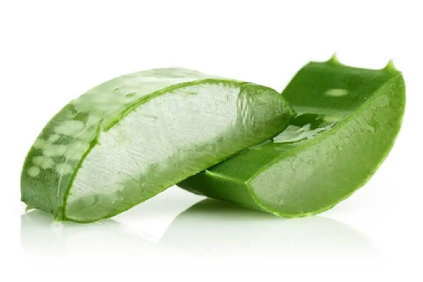 新鮮蘆薈可以修復(fù)疤痕嗎 新鮮蘆薈對傷口愈合有用嗎 新鮮蘆薈可以修復(fù)疤痕嗎 新鮮蘆薈對傷口愈合有用嗎