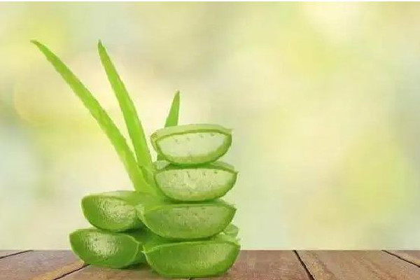 新鮮蘆薈擦臉過敏了怎么辦 新鮮蘆薈擦臉為什么會(huì)刺痛
