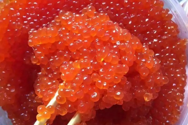 魚籽是高蛋白還是高脂肪 魚籽屬于動(dòng)物內(nèi)臟嗎