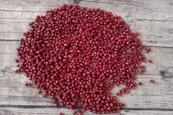 紅豆發(fā)豆芽可以吃嗎 紅豆發(fā)芽要多長(zhǎng)時(shí)間