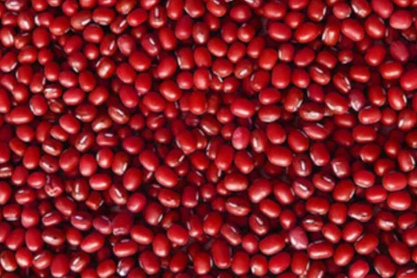 紅豆補(bǔ)血還是赤小豆補(bǔ)血 紅豆怎么吃補(bǔ)血效果最好 紅豆補(bǔ)血還是赤小豆補(bǔ)血 紅豆怎么吃補(bǔ)血效果最好